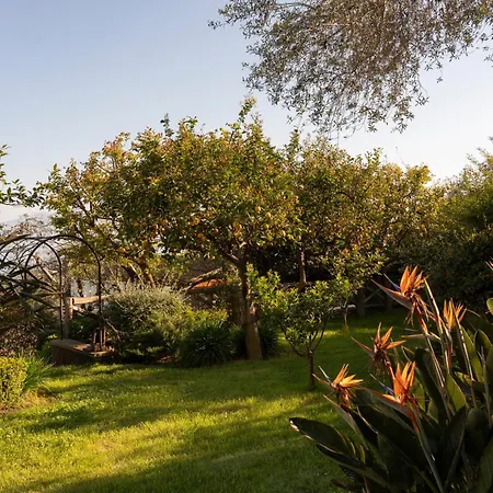 Resort Relais Palazzo Del Barone (adults Only) *