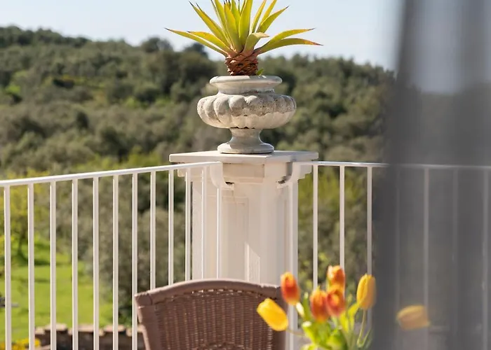 リゾート Relais Palazzo Del Barone (adults Only)